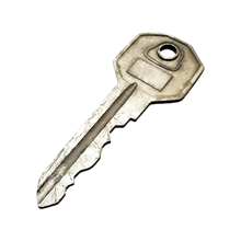 simple_key_key_item_remnant_from_the_ashes_wiki_guide_220px