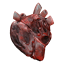 butchers_heart_crafting_material_remnant_from_the_ashes_wiki_guide_64px