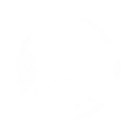 shadow_walker_trait_icon_remnant_from_the_ashes_wiki_guide_275px