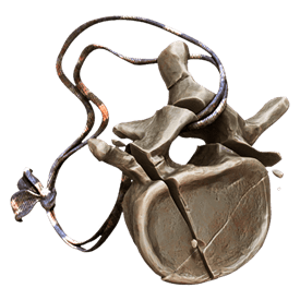 shattered_vertebrae_amulet_remnant_from_the_ashes_wiki_guide_275px
